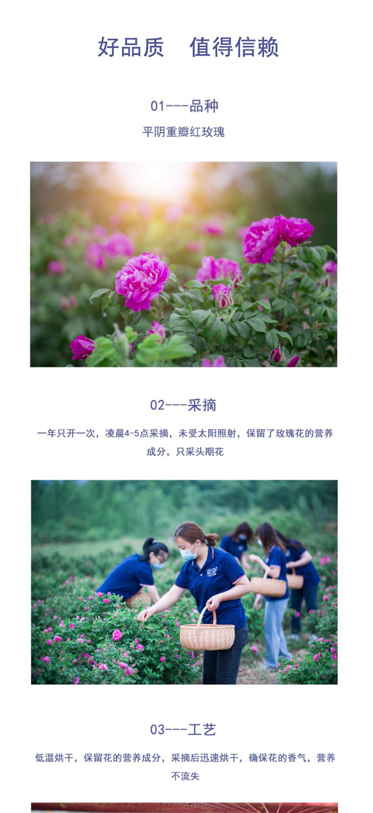 6a7163b72a105.jpg