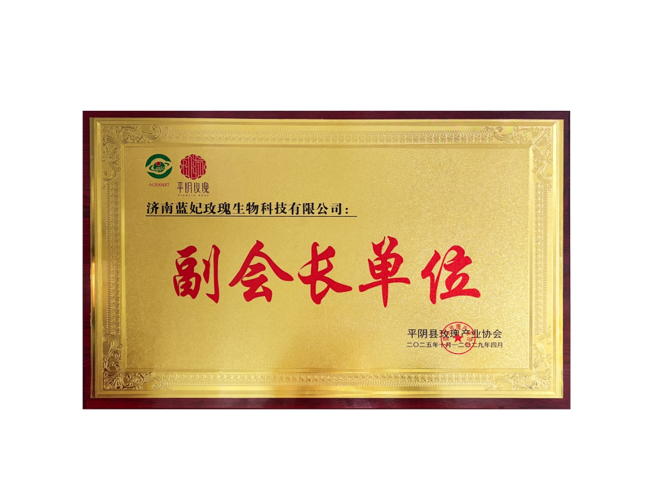 微信图片_20250930164422_517_13.jpg