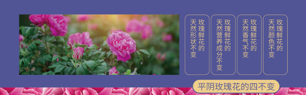 微信图片_20230407164826.png 微信图片_20230407164826.png