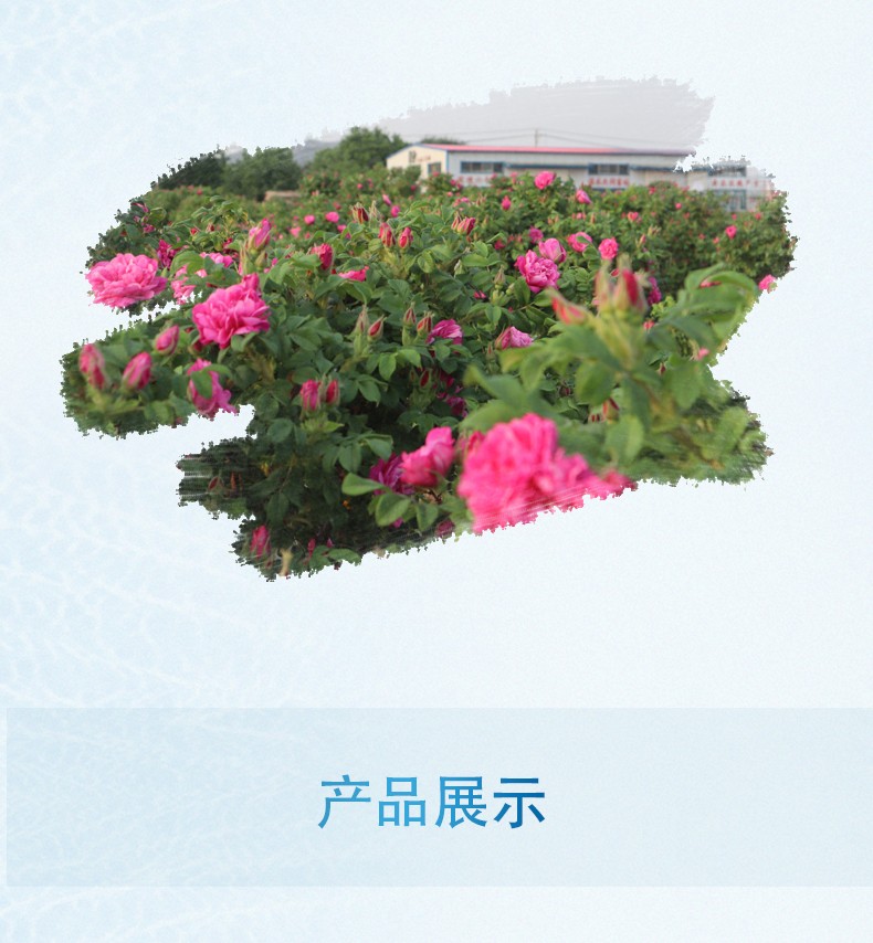 豪门国际 19a8d