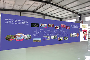 豪门国际 8a2bf