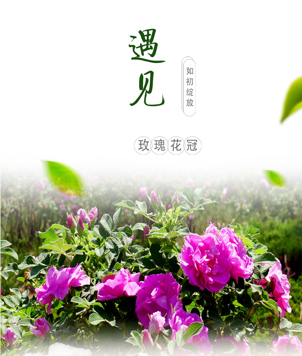 豪门国际 9cc37